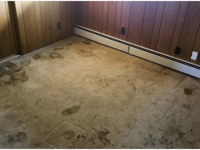 Carpet Pretreated for Stains(400 x 300 px)
